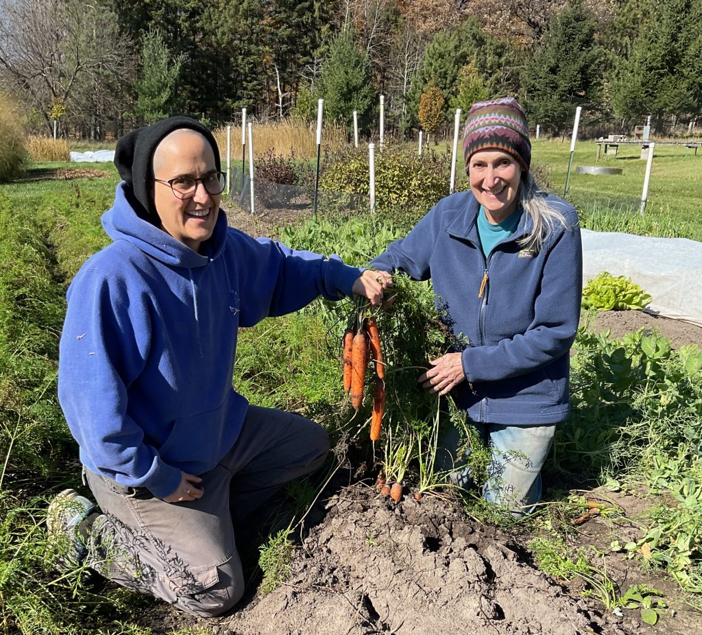 Nancy and Steve Potter pulling a few of their many carrots.